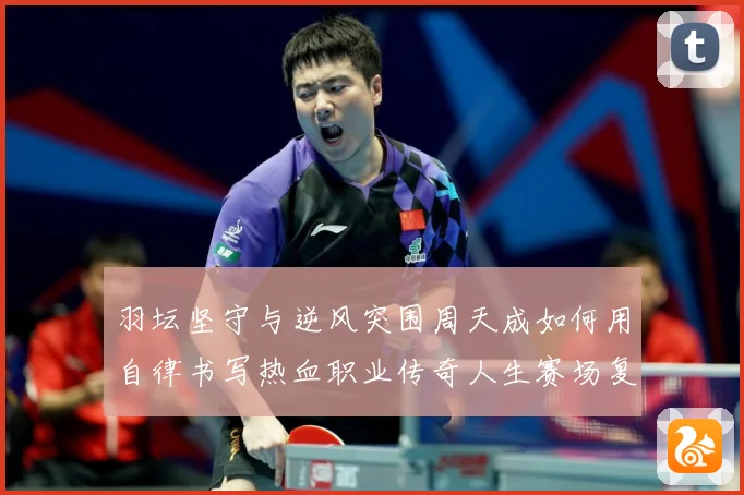 羽坛坚守与逆风突围周天成如何用自律书写热血职业传奇人生赛场复盘