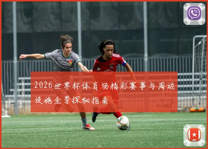 2026世界杯体育场精彩赛事与周边设施全景探秘指南