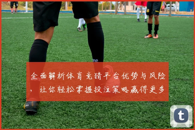 全面解析体育竞猜平台优势与风险，让你轻松掌握投注策略赢得更多奖励
